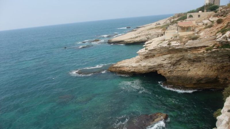 لبنان| وزارة البيئة: لخطة عمل جدية لحماية "فقمة الراهب" على الشاطىء