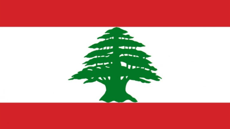 لبنان: موسى بحث مع وفد من الصليب الاحمر الدولي في أوضاع السجون
