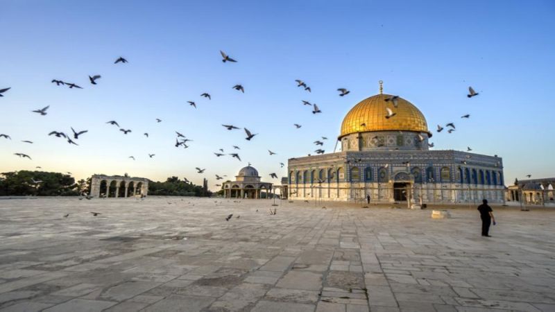 فلسطين المحتلة: 60 مستوطنًا اقتحموا ساحات المسجد الأقصى المبارك صباح اليوم