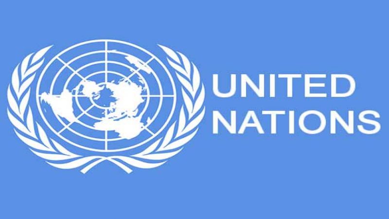 الأمم المتحدة تُحذر من انتشار "طاعون الجراد" في السعودية ومصر بعد ظهوره وتفشيه في كل من السودان وإريتريا 