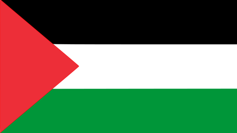 حماس دعت منظمة التعاون الإسلامي وجامعة الدول العربية إلى التحرك لحماية الأقصى والمقدسات الإسلامية والمسيحية من عبث الصهاينة